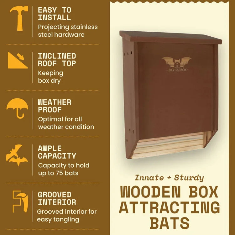 Two-Chamber Bat House, Brown