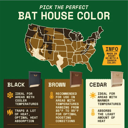 Two-Chamber Bat House, Brown