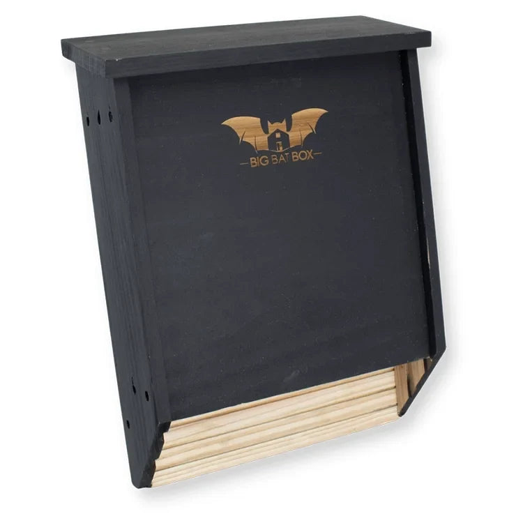 Two-Chamber Bat House, Black