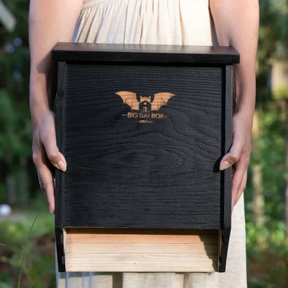 Two-Chamber Bat House, Black