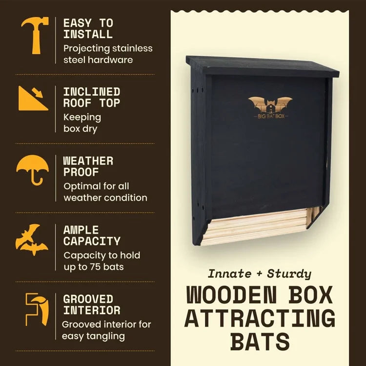 Two-Chamber Bat House, Black