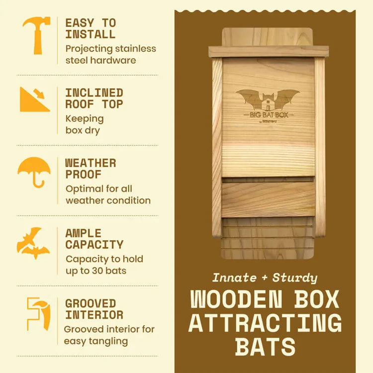 Single Chamber Bat House, Cedar
