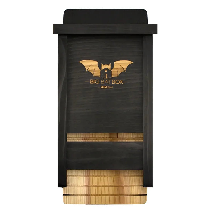 Single Chamber Bat House, Black