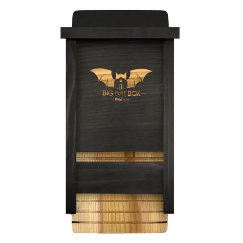 Single Chamber Bat House, Black