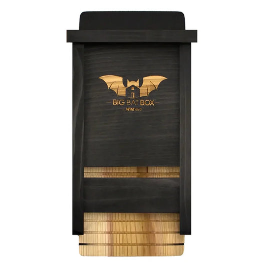 Single Chamber Bat House, Black