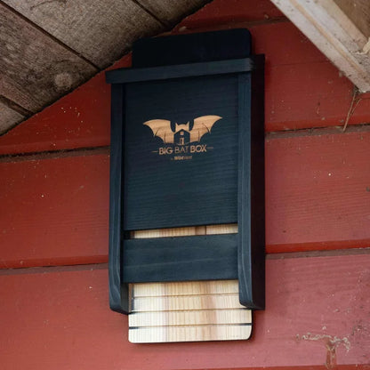 Single Chamber Bat House, Black