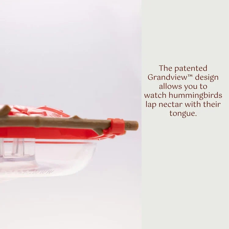Pop's® AspenPerch™ Hummingbird Feeder
