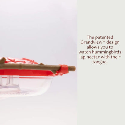 Pop's® AspenPerch™ Hummingbird Feeder