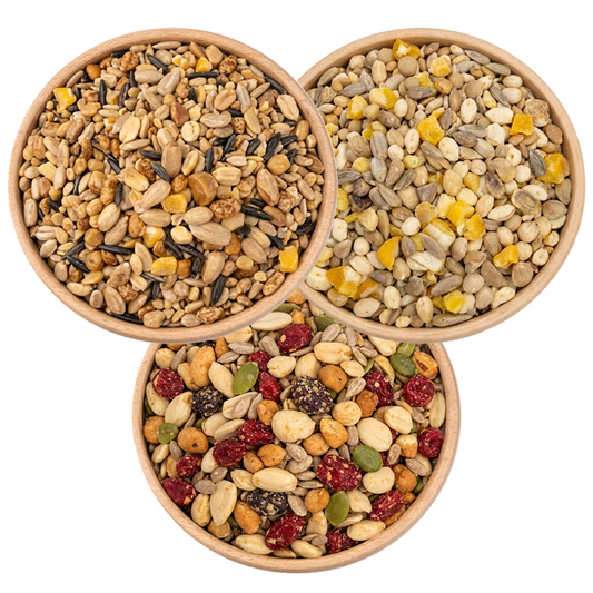 Feathered Feast Seed Bundle