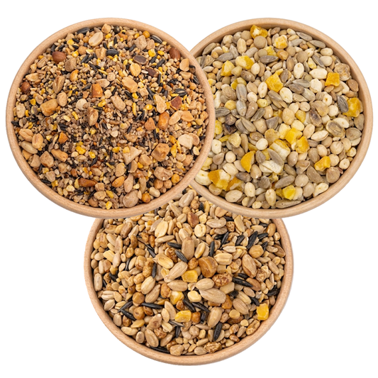 Garden Gourmet Seed Bundle