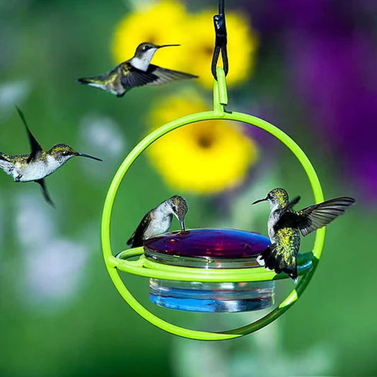 Sphere Hummingbird Feeder, Lime
