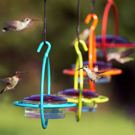Sphere Hummingbird Feeders, Set of 4