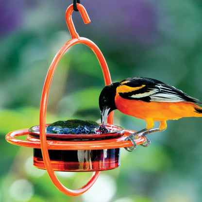 Orange Hanging Sphere Feeder with Perch