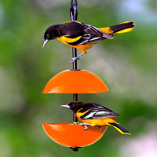 Mosaic Birds Hanging Double Poppy Feeder, 3 Colors to Choose