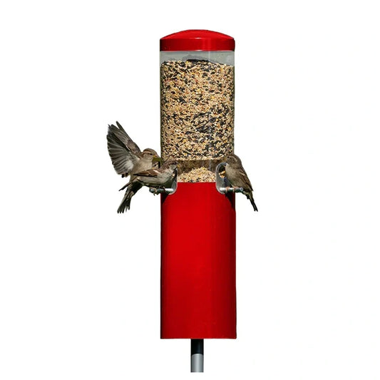 Classic Bird Feeder with Pole & Baffle, Red