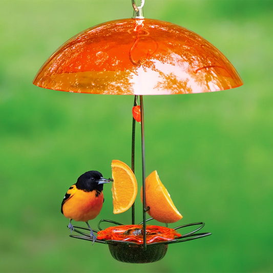 Oriole Flower Feeder with Orange Dome