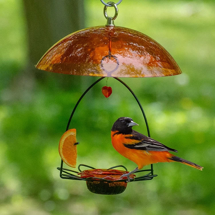 Oriole Flower Feeder with Orange Dome