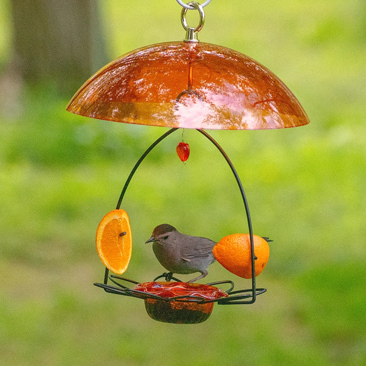 Oriole Flower Feeder with Orange Dome