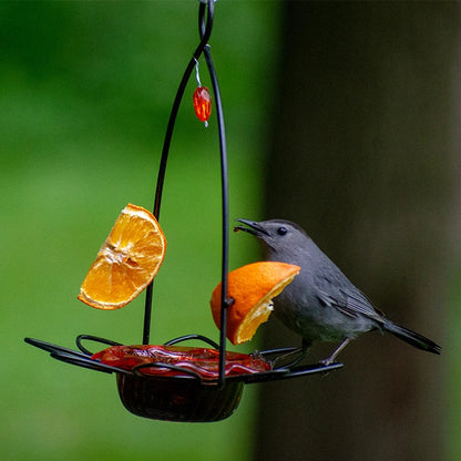 Oriole Flower Feeder