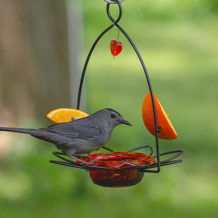 Oriole Flower Feeder