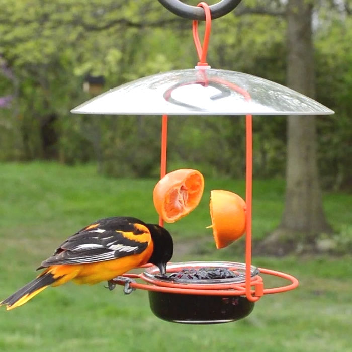 Wire Oriole Feeder