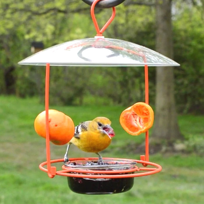 Wire Oriole Feeder