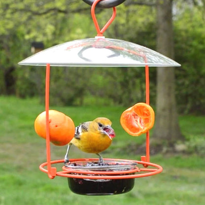 Wire Oriole Feeder