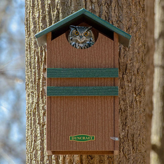 Duncraft Bird-Safe® Screech/Saw-Whet Owl Nesting Box