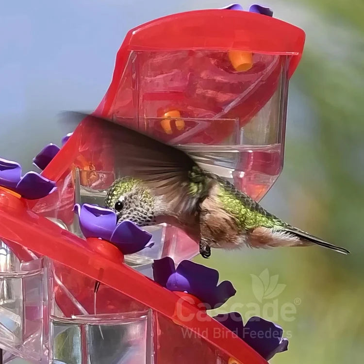 Cascade DNA 32-Port Hummingbird Feeder