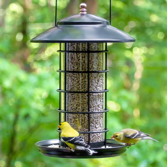 Modern Farmhouse Metal & Glass Tube Bird Feeder