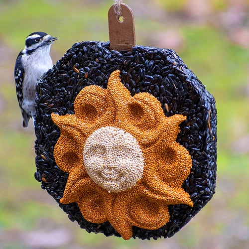 Sun Face Seed Wreath