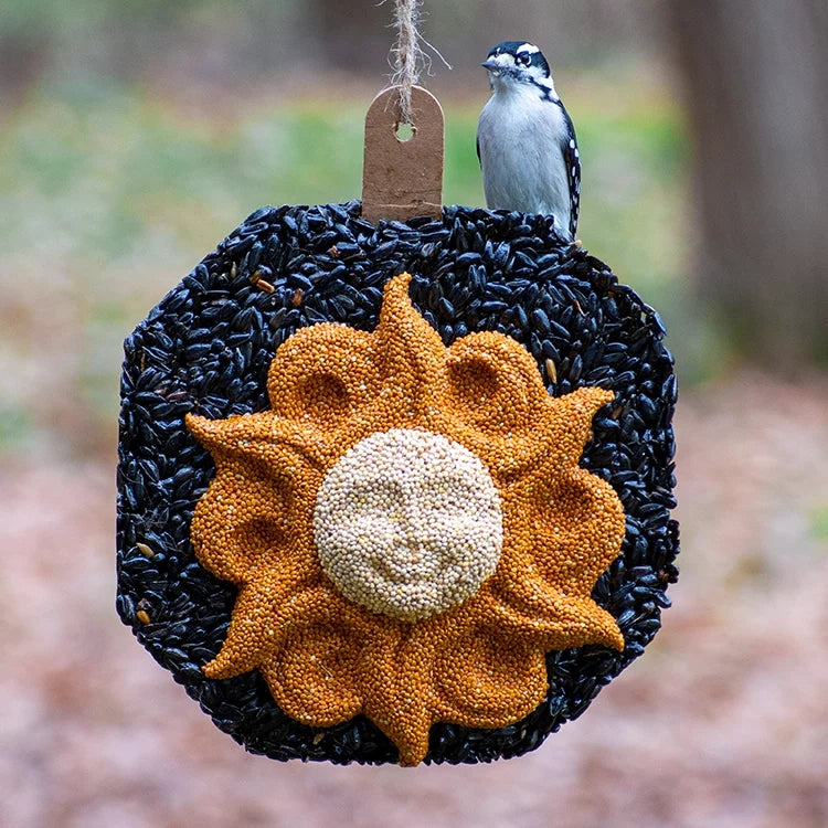 Sun Face Seed Wreath