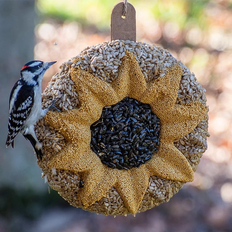 Sunflower Seed Wreath