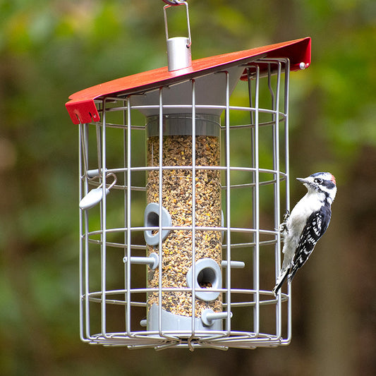 The Nuttery Roundhaus Seed Feeder, Red