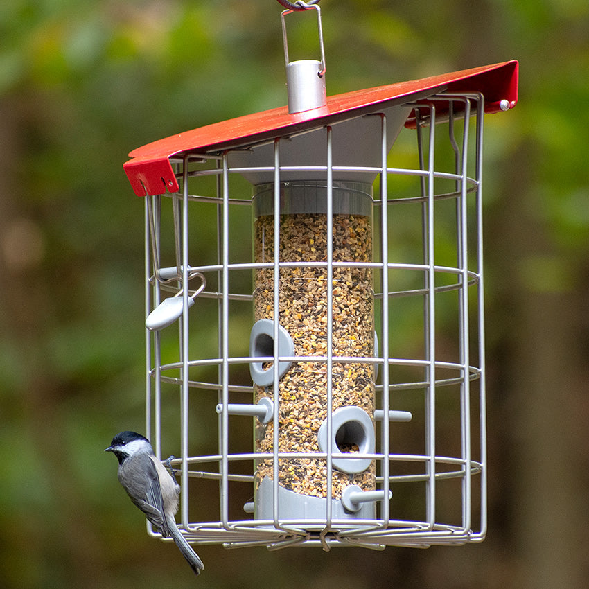 The Nuttery Roundhaus Seed Feeder, Red