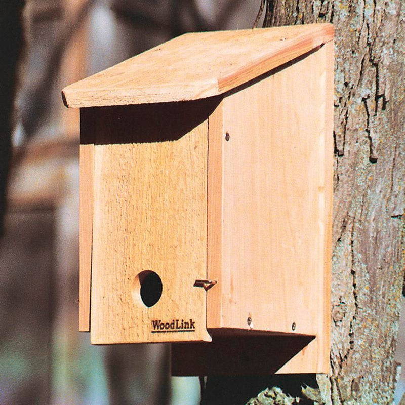 Winter Roosting Box