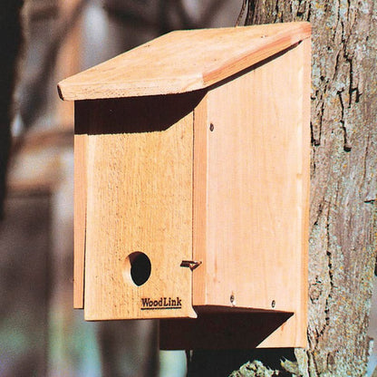 Winter Roosting Box