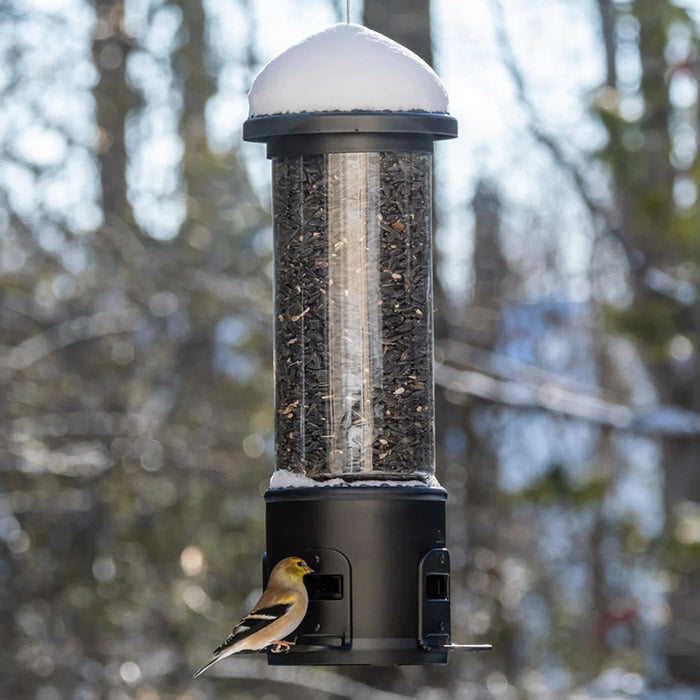 Squirrel Shield Choice Metal Bird Feeder