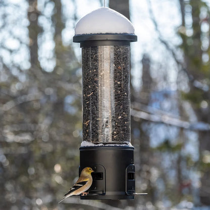 Squirrel Shield Choice Metal Bird Feeder