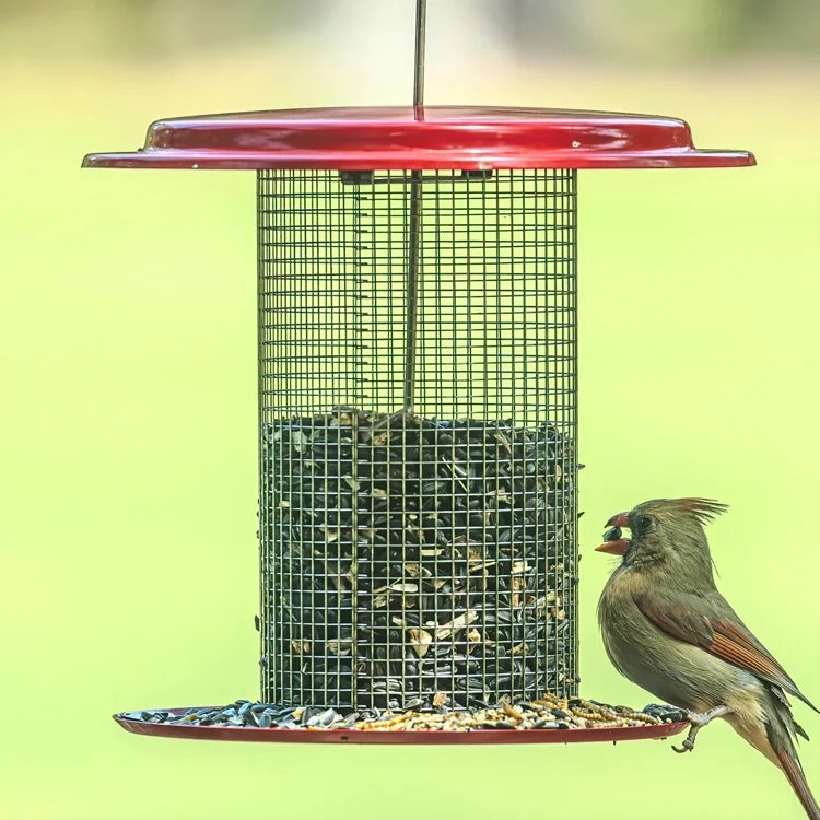 Sunflower Seed Bird Feeder, Red