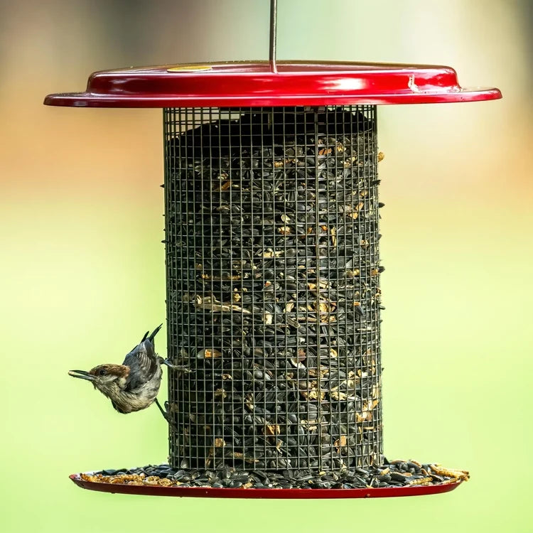 Sunflower Seed Bird Feeder, Red