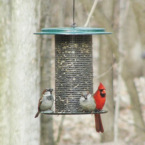 Sunflower Seed Bird Feeder, Green