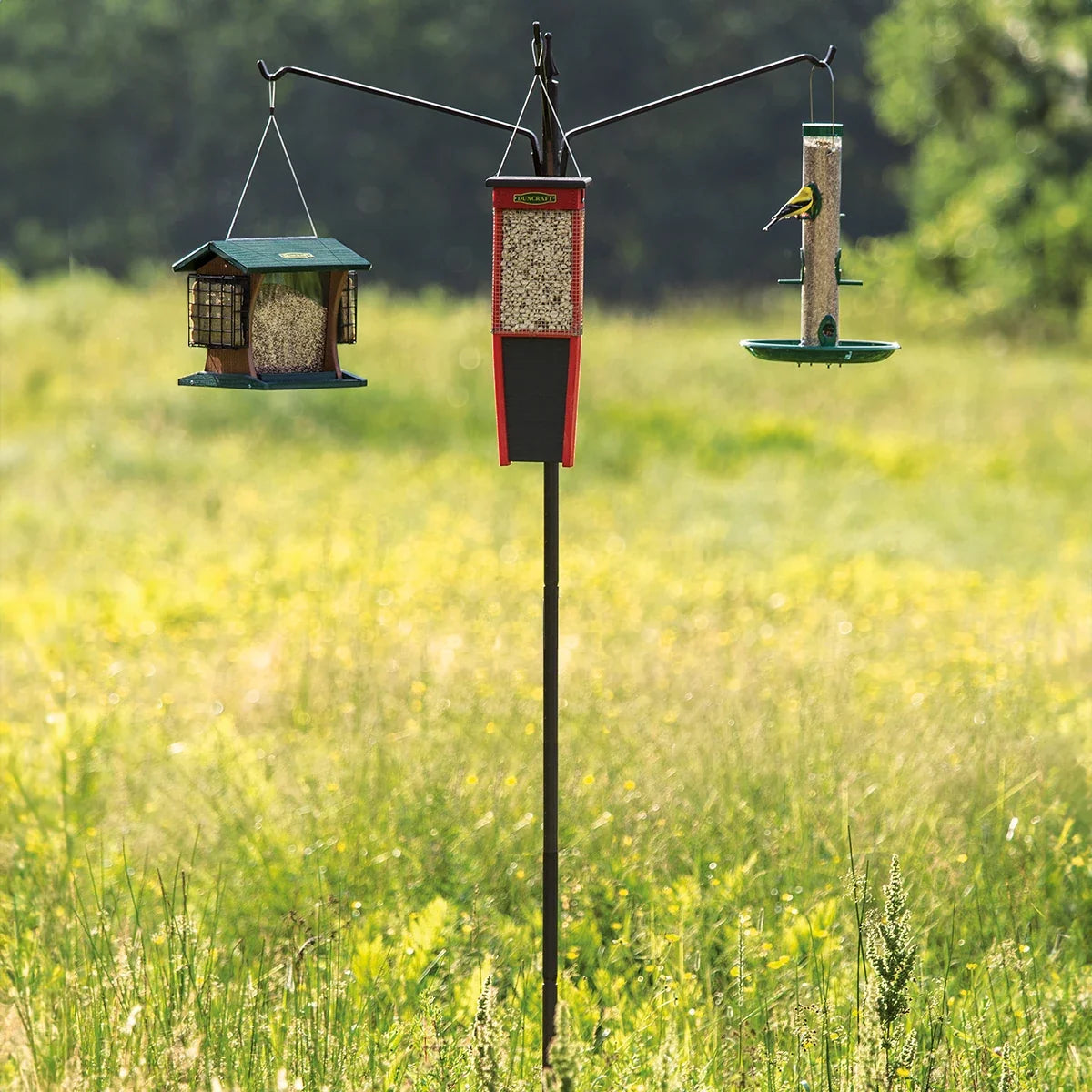 Three Arm Extended Reach Bird Feeding Station