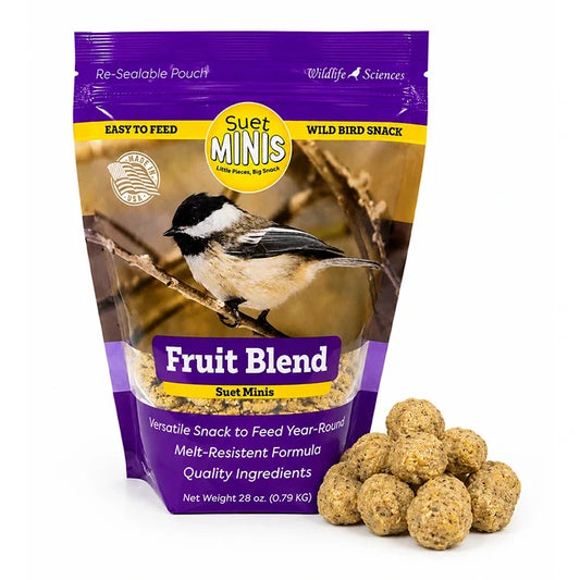 Fruit Blend Suet Minis, Set of 4 or 8 Bags