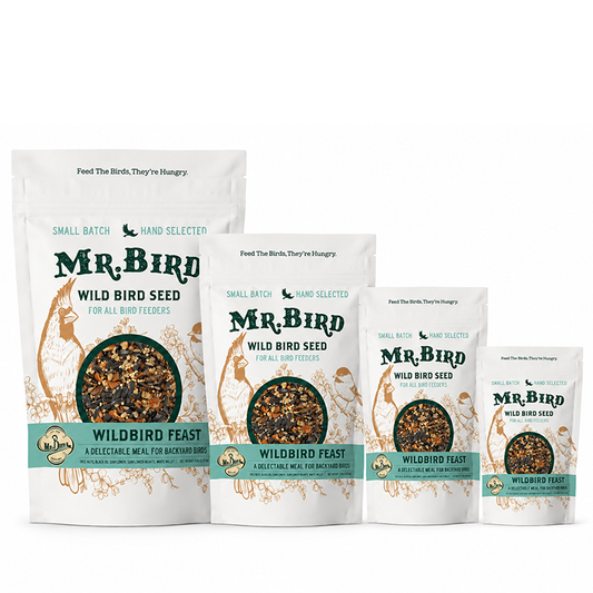 Mr. Bird WildBird Feast Wild Bird Seed, 2, 4, 8, or 14-lb bag