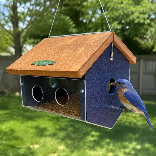 Duncraft Easy View Bluebird Feeder (Manufacturer Second)