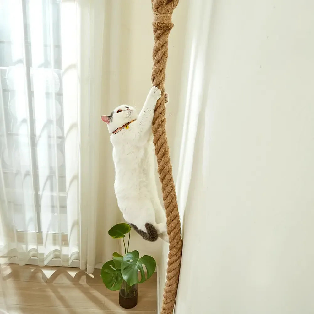 3m Wall‑Mounted Sisal Cat Climbing Rope