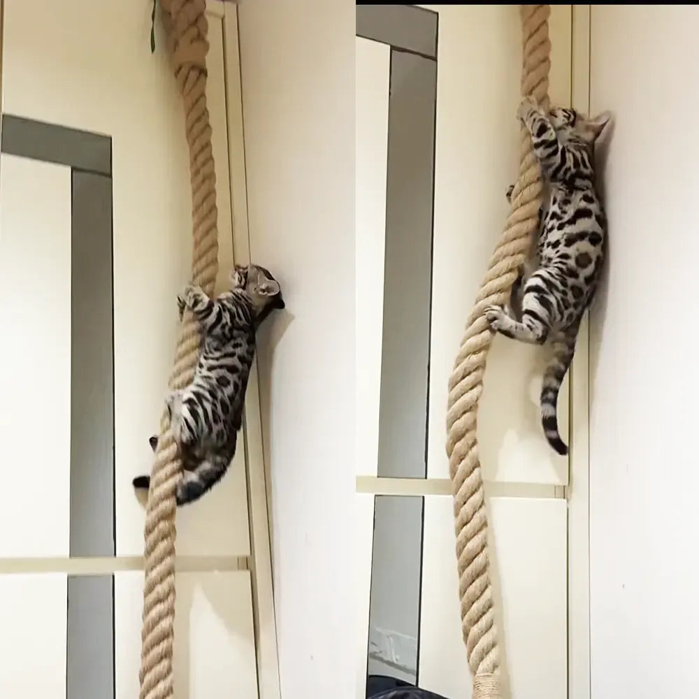 3m Wall‑Mounted Sisal Cat Climbing Rope