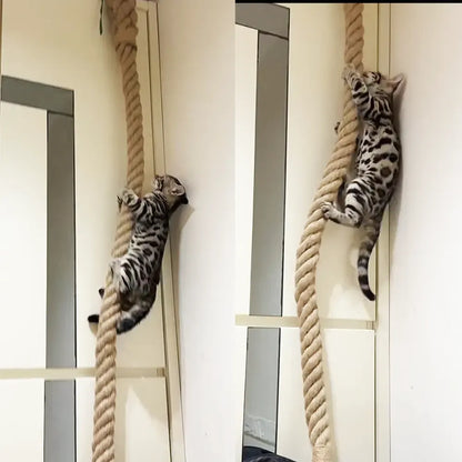 3m Wall‑Mounted Sisal Cat Climbing Rope